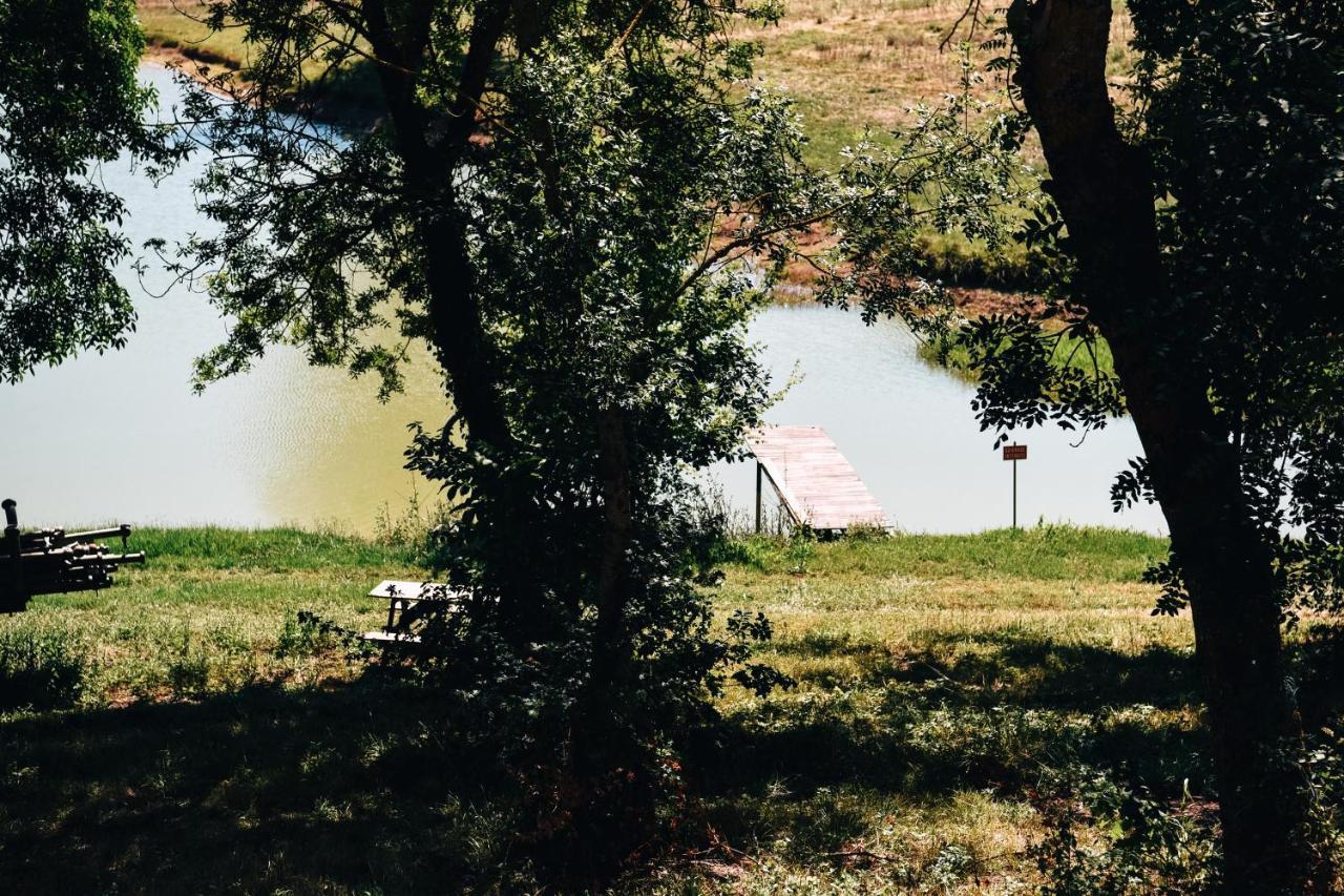 Maison De Campagne, Bord De Lac, Piscine, Billard 11 Per Plieux Exterior foto